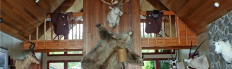 Total Taxidermy Takeover