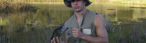 Nice Catch
