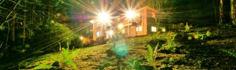 Close Encounters of the Absurd Kind