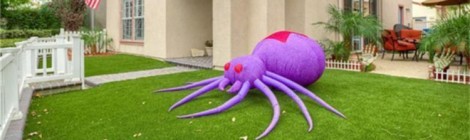 A Minor Pest Problem