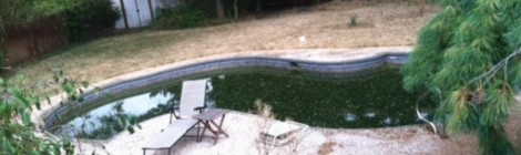 Not What I Meant By “Green Living”