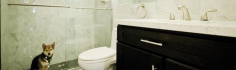 ShowerDog Not Included