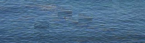 Ocean Ghosts Free With Purchase