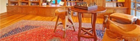 Saddle Up for Some Orange Chess