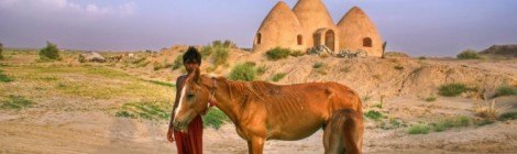“The horse is loyal”